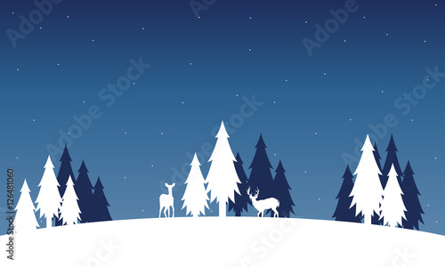 Silhouette of deer and spruce landscape winter
