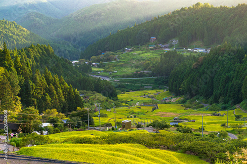 Rice paddy terraces on sunset. Yotsuya, Aichi prefecture, Japan