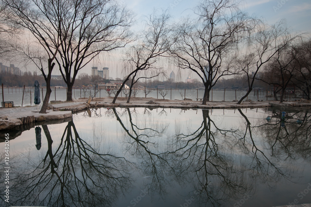 Beijing Park's image. A reflection of the tree Beijing Park's image. A reflection of the tree