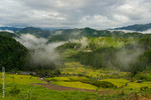 Japanese rural landscape with rice terraces in mountain forest