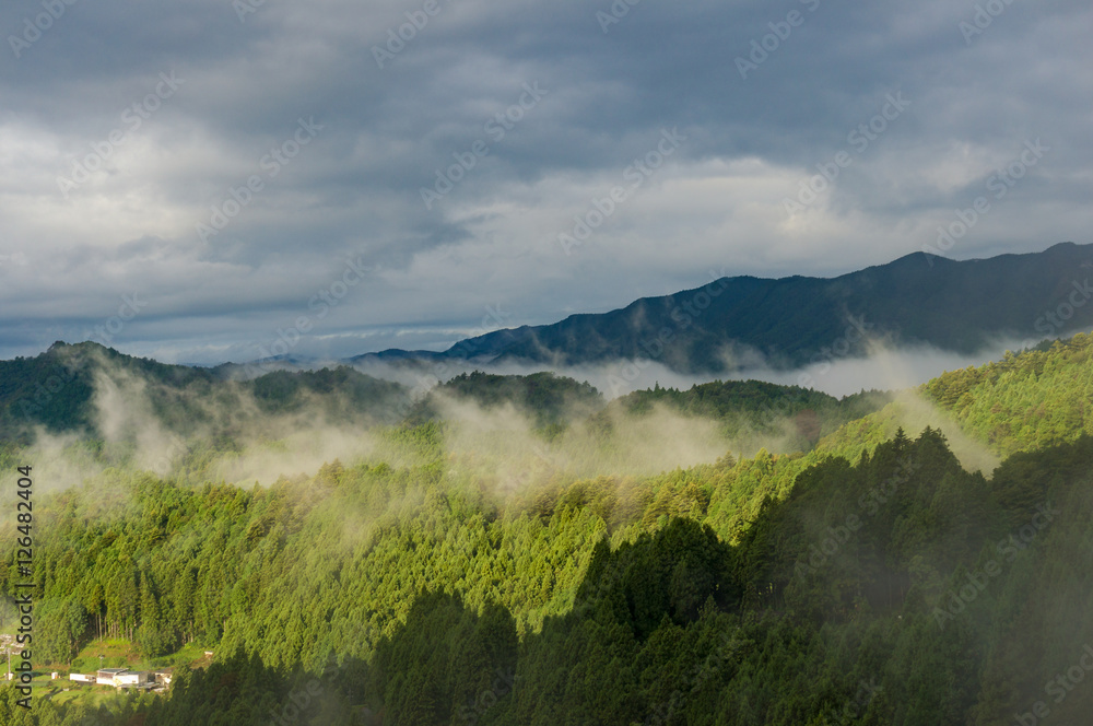 Mountain forest with fog against dramatic sky on the background - obrazy, fototapety, plakaty 
