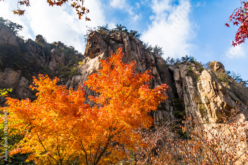 Autumn leaves in Bei Jiu Shui trail, Laoshan Mountain, Qingdao, China. Bei Jiu Shui is famous for the many pools of crystal clear water and it's waterfalls