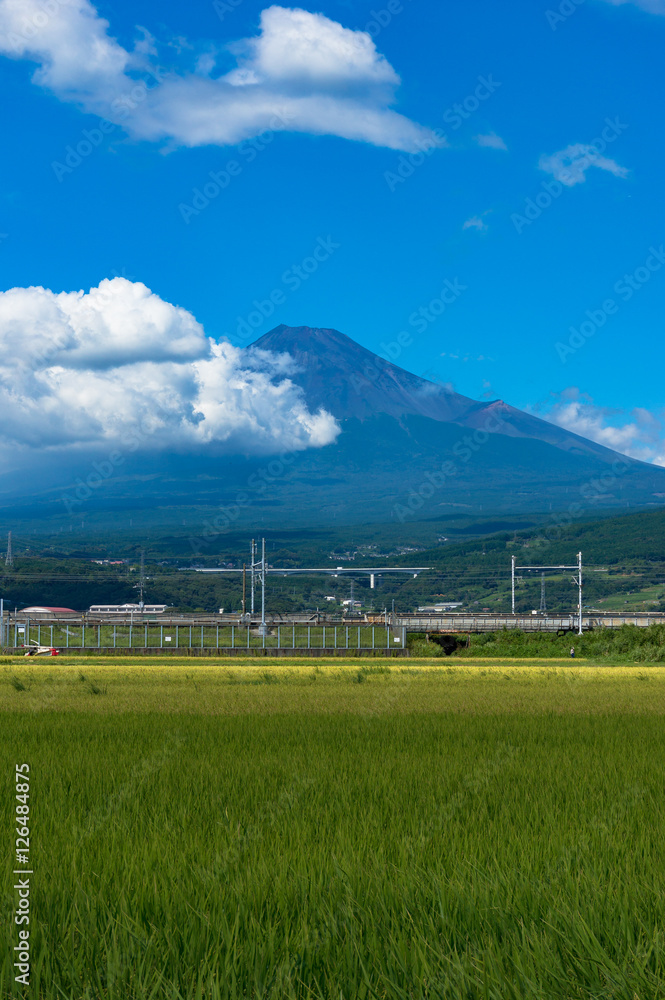 Japanese countryside rural scene of rice field with Mount Fuji