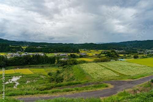 Aerial view of Japanese countryside town with fields