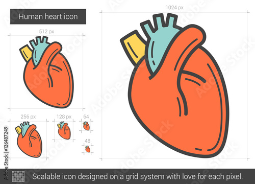 Human heart line icon.