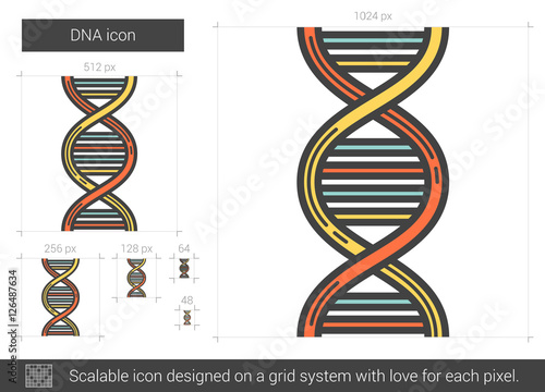 DNA line icon.