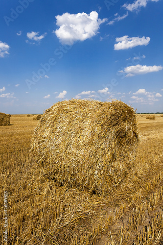 Stack of straw