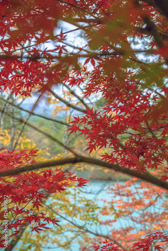 湖畔の秋景色