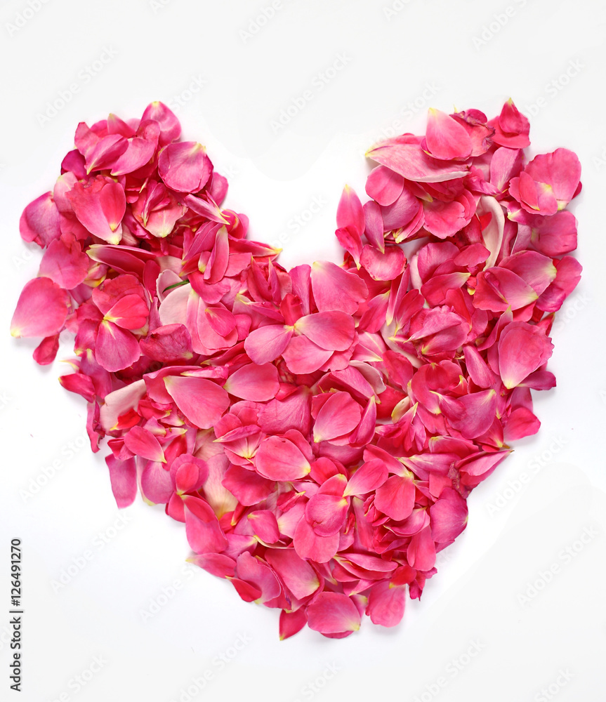 the heart of delicate petals pink roses isolated on white background 1 the heart of delicate petals pink roses isolated on white background 1