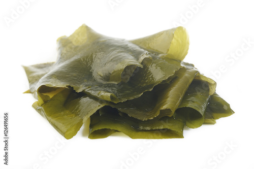 Fresh seaweed wakame isolated on white background
