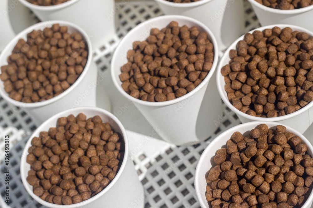 fish feed fish feed