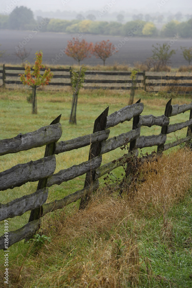Wooden fence Wooden fence