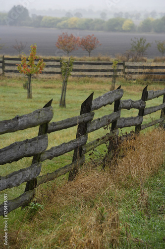 Wooden fence