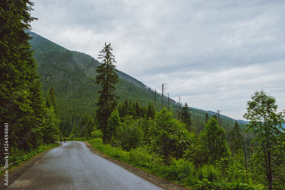 Fototapeta premium asphalt road in mountain