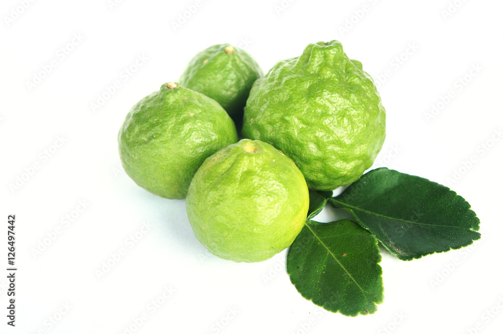 bergamot bergamot