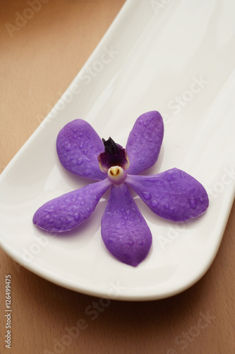 Purple orchid resting in white tray.