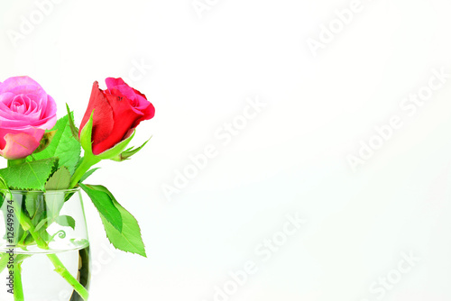 Valentinstag Motiv - Rosen im Weinglas vor wei  em Hintergrund mit Textfreiraum