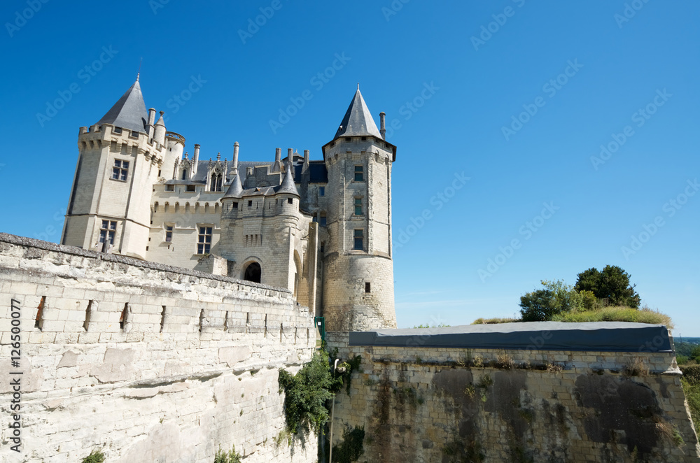 Saumur castle view