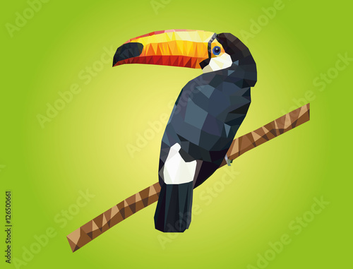Tropical toucan bird. Polygon illustration. Vector