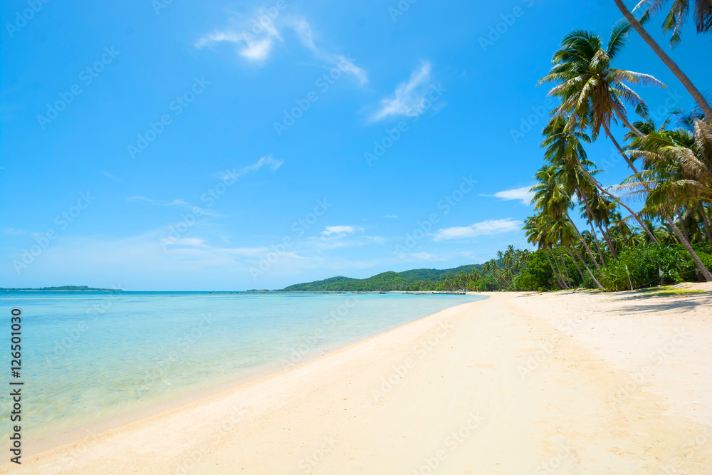 WHITE SANDY BEACH ON ISLAND SEASIDE IN CLEAR BLUE SKY SUNNY DAY