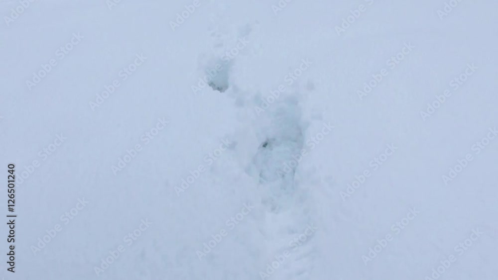 Video of movement along the snow-covered way with footprints in the snow Video of movement along the snow-covered way with footprints in the snow
