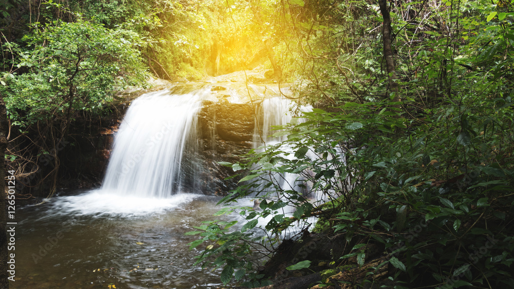 Fototapeta premium waterfall and creek in forest
