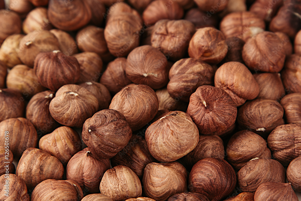 Hazelnut background. Pile of selected hazel close-up. For vegetarians. Hazelnut background. Pile of selected hazel close-up. For vegetarians.