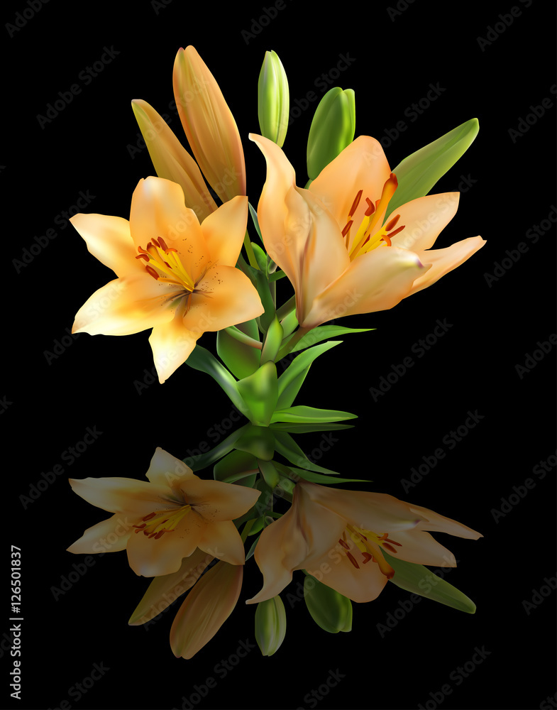 orange lily bunch on black with reflection