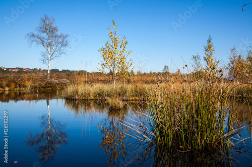 Herbst in der Moor und Filz Landschaft Kendlmühlfilz