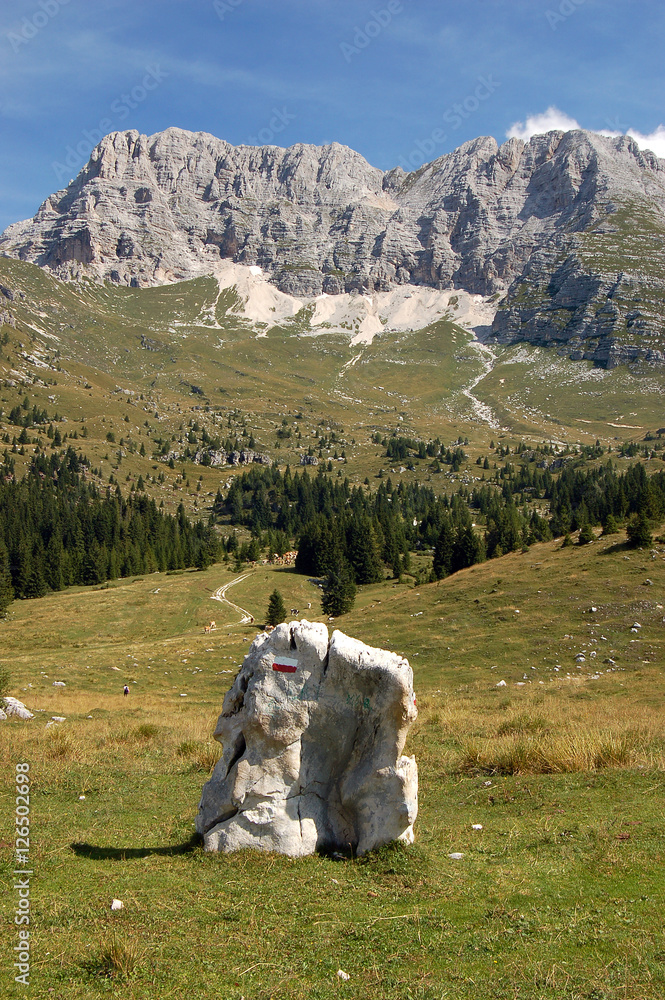 Plateau of Montasio with green pastures in Julian Alps (Jof di Montasio). Friuli, Italy