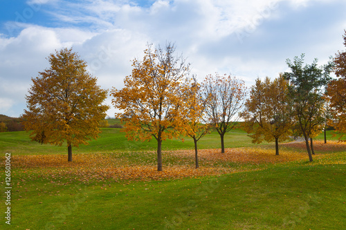 City park with autumn colors