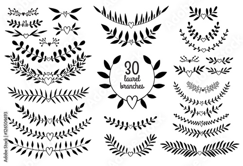 Fototapeta Naklejka Na Ścianę i Meble -  Vecto nature branches collection