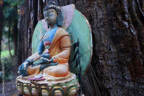 Bunter Buddha sitzt vor einem Baumstamm und meditiert. photo