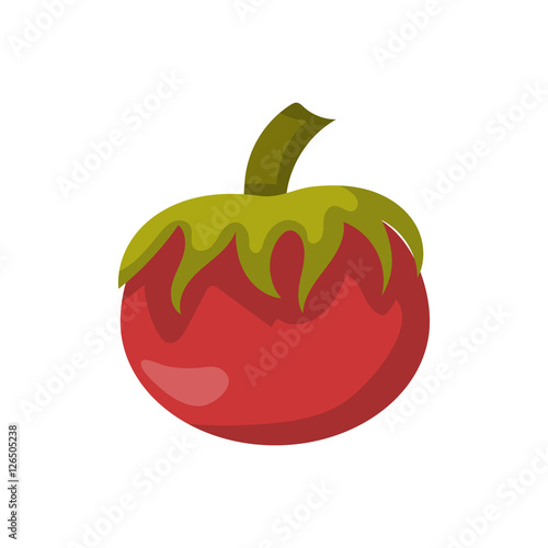 Vector cartoon isolated red tomato