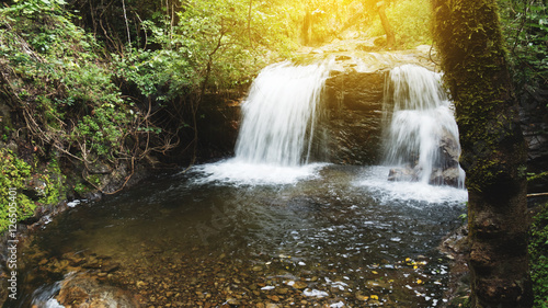 Fototapeta Naklejka Na Ścianę i Meble -  waterfall and creek in forest