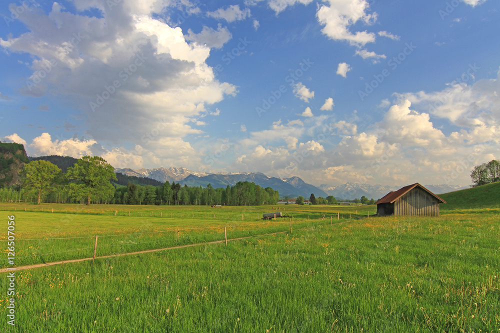 Typische Allgäuer Landschaft Typische Allgäuer Landschaft