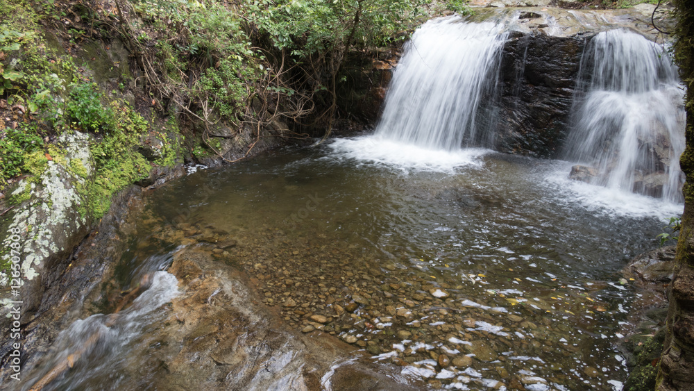 Fototapeta premium waterfall and creek in forest