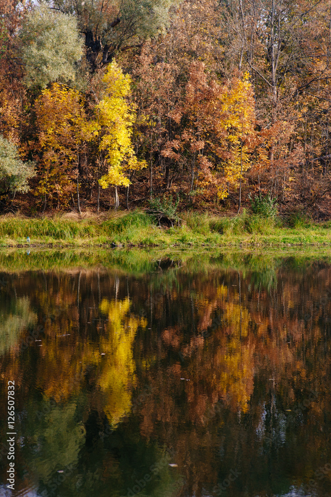 autumn landscape on the river autumn morning. Belarus autumn landscape on the river autumn morning. Belarus