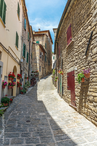 Fototapeta Naklejka Na Ścianę i Meble -  old street with flowers in Italy