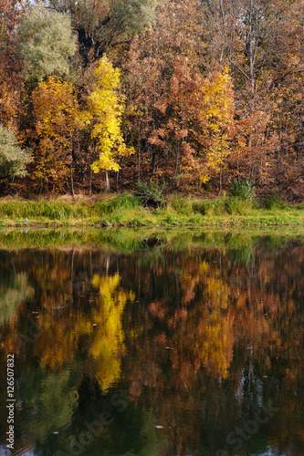 autumn landscape on the river autumn morning. Belarus