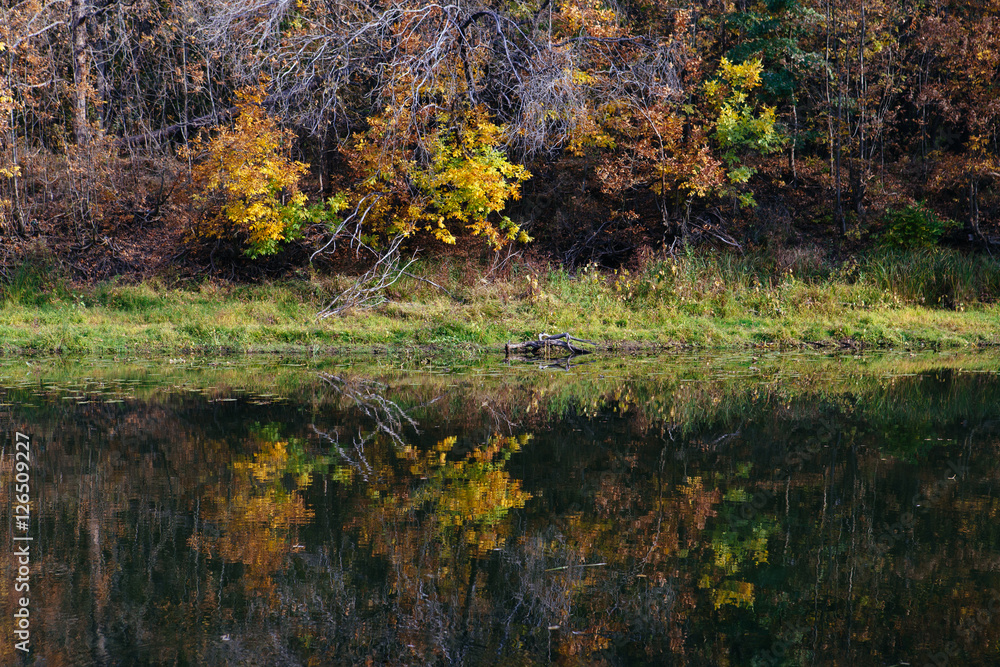 autumn landscape on the river autumn morning. Belarus autumn landscape on the river autumn morning. Belarus