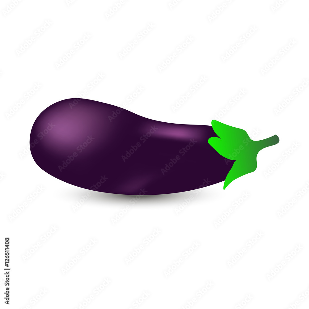 Realistic eggplant vector illustration on white background Realistic eggplant vector illustration on white background