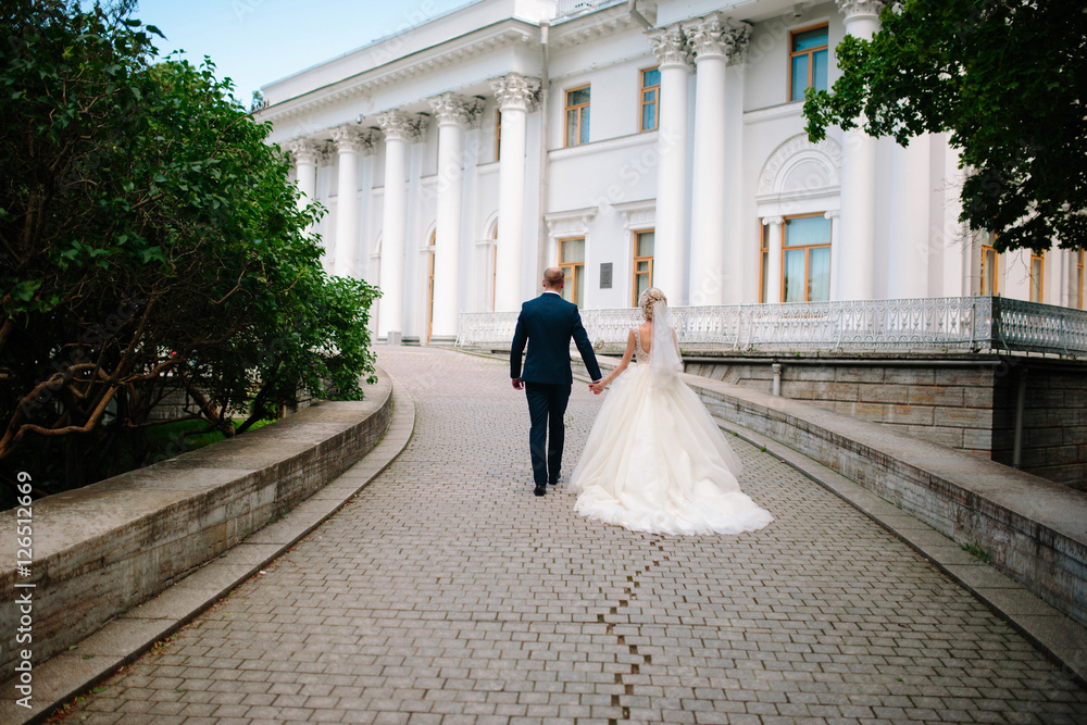The groom and the bride in a beautiful dress with a train go han The groom and the bride in a beautiful dress with a train go han