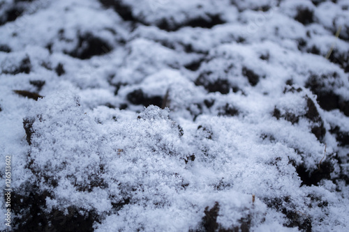 first snow © prokop.photo