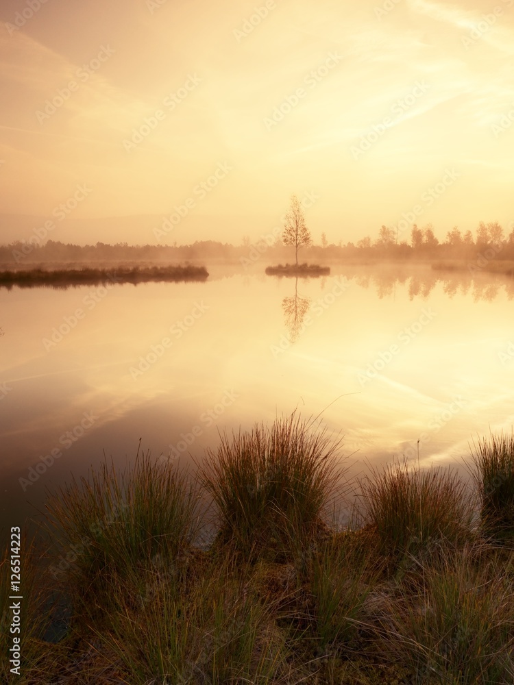 Grass on mountain lake bank,  island in middle. Purple morning with peaceful water level
