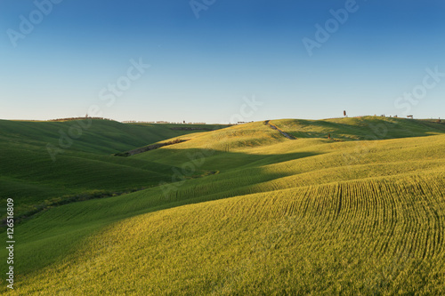 Typical Tuscany landscape, green hills springtime