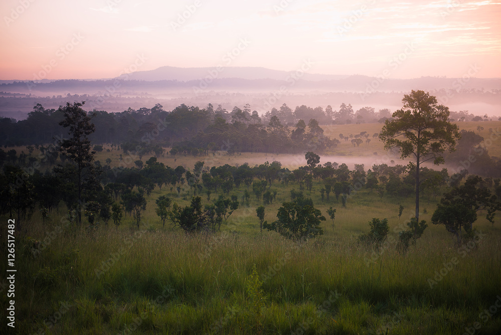 Fototapeta premium Great sunrise in thailand savanna 