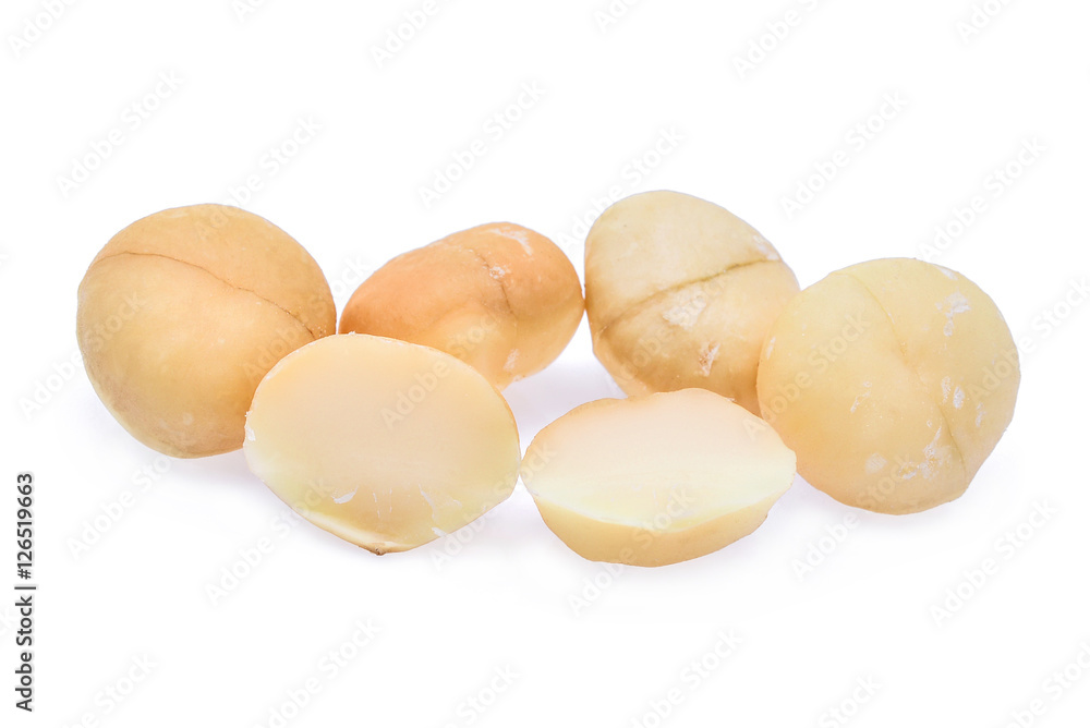 dried macadamia nut isolated on white background dried macadamia nut isolated on white background