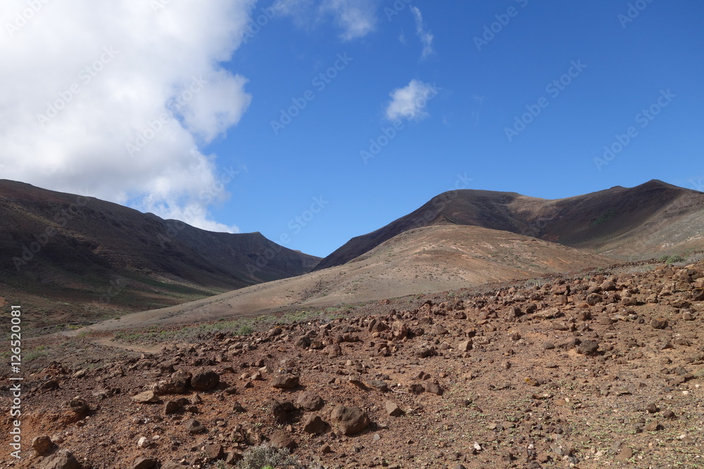 Natur pur auf Fuerteventura Natur pur auf Fuerteventura