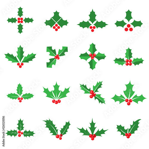Holly berries and leaves icons. Collection of 16 colored Christmas symbols isolated on a white background. Vector illustration